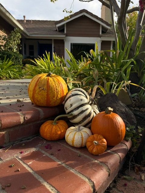 Ms. Holly Inspired fall porch installation 5
